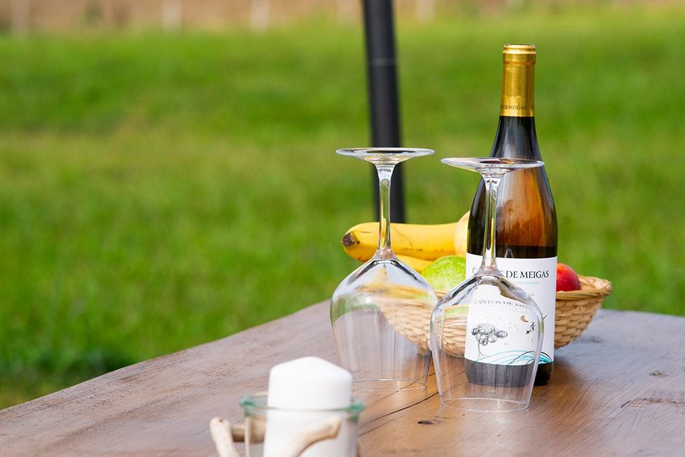Copas de vino en la mesa - zona de acampada