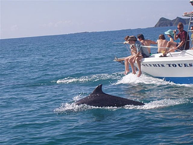 delfines tour elementsurf surfcamp cantabria